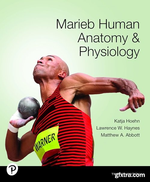 Marieb Human Anatomy & Physiology, 14th Edition