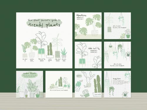 Adobe Stock - Houseplant Botanical Template Set for Social Media - 456812799