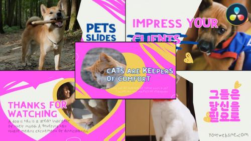 Videohive - Slides Pets | DaVinci Resolve - 50916573