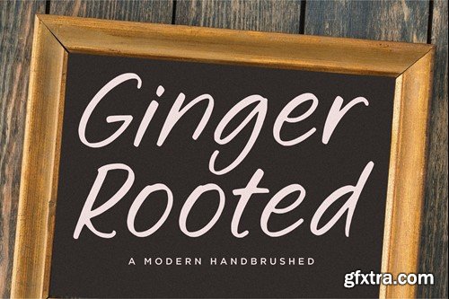 Ginger Rooted Script Font ZVLACE4