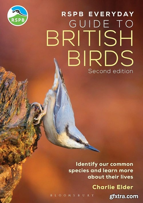 The RSPB Everyday Guide to British Birds: Identify our common species and learn more about their live, 2nd Edition