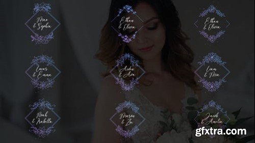 Videohive Wedding Titles - Diamond Frames 51073211