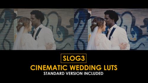 Videohive - Slog3 Cinematic Wedding and Standard Color LUTs - 51047618