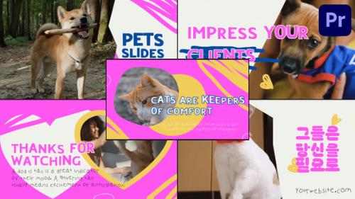 Videohive - Slides Pets | Premiere Pro MOGRT - 50957696