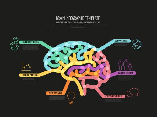 Adobe Stock - Multipurpose Thick Line Infographic Dark Template with Human Brain - 465850514