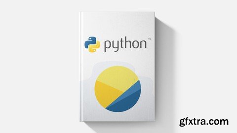 Python: The Professional Guide For Beginners (2024 Edition)