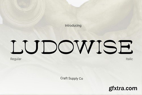 Ludowise – Contemporary Serif DEBGP6D