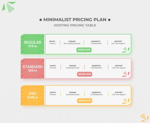 Adobe Stock - Minimalist Pricing Plane Design Pricing Infographic - 467237330