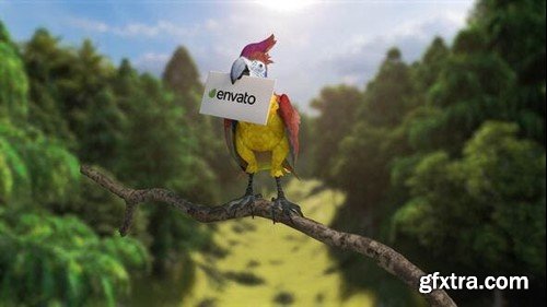 Videohive Parrots Carry Your Logo 50998593