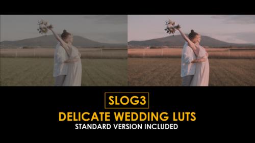 Videohive - Slog3 Delicate Wedding and Standard LUTs - 51099921