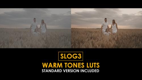 Videohive - Slog3 Warm Tones and Standard Color LUTs - 51105388