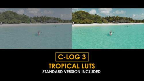 Videohive - C-Log3 Tropical and Standard Color LUTs - 51127906