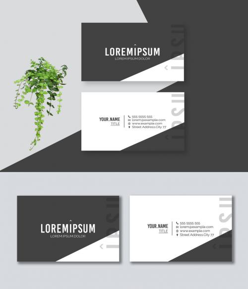 Adobe Stock - Black and White Business Card - 472895268