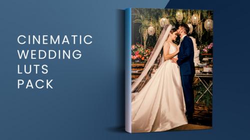 Videohive - Cinematic Wedding LUTs Pack | FCPX - 51198517