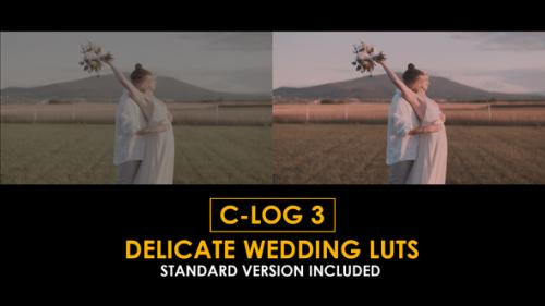 Videohive - C-Log3 Delicate Wedding and Standard LUTs - 51222673