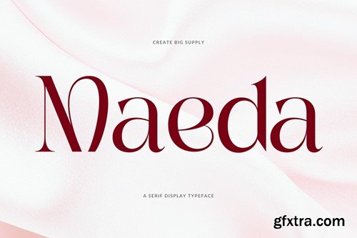 Maeda Unique Serif Display Font 2YY5L6X