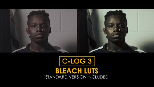 Videohive - C-Log3 Bleach and Standard LUTs - 51279494