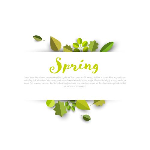 Adobe Stock - Spring Leafs Sale Post Banner Layout with Stripe - 478874169