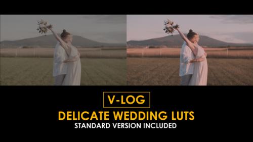Videohive - V-Log Delicate Wedding and Standard Color LUTs - 51379123