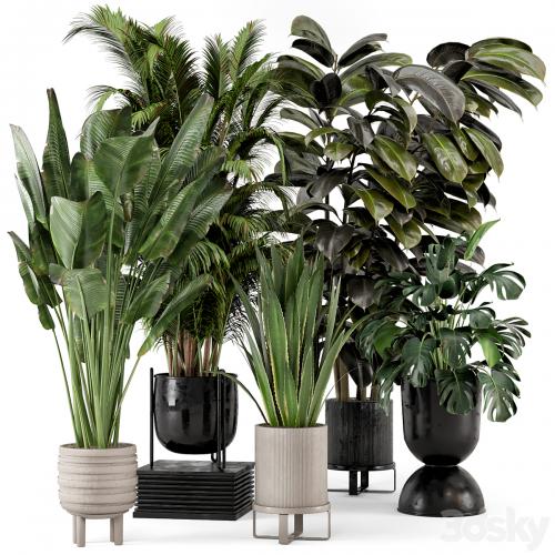 Indoor Plants in Ferm Living Bau Pot Large - Set 572