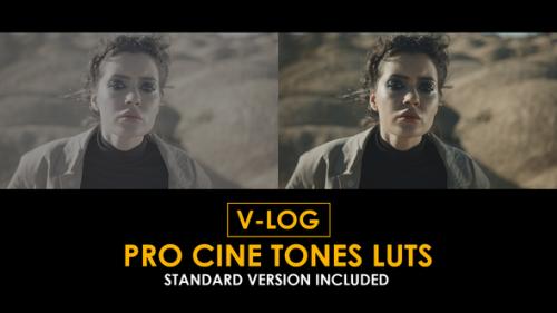 Videohive - V-Log Pro Cine Tones and Standard LUTs - 51363042