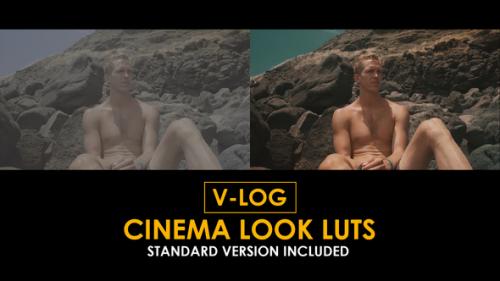 Videohive - V-Log Cinema Look and Standard Color LUTs - 51378341