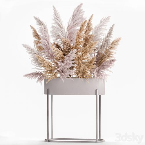 A lush bouquet of dried flowers with pink pampas grass, a vase of Cortaderia, branches. 190.