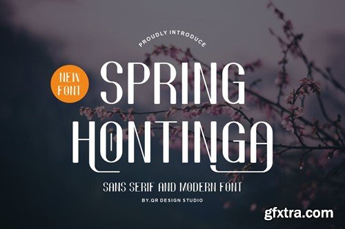 Spring Hontinga - Modern & Minimal Font RX73LQL