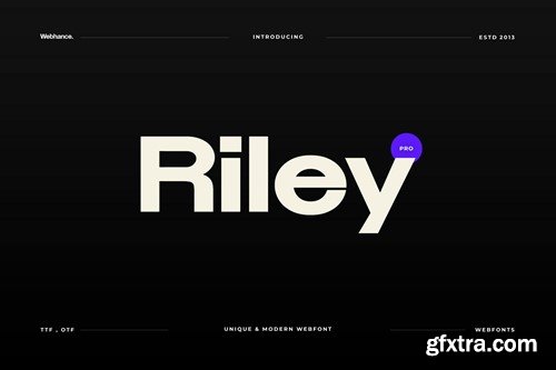 Riley - Modern Sans-Serif Font family 3KQFU5D