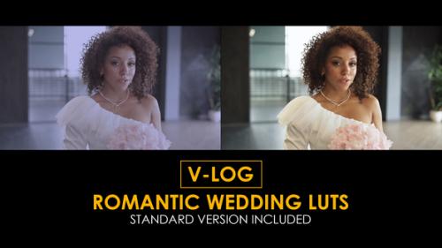 Videohive - V-Log Romantic Wedding and Standard LUTs - 51434065
