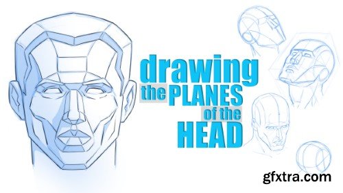 How to Draw the Planes of the Head