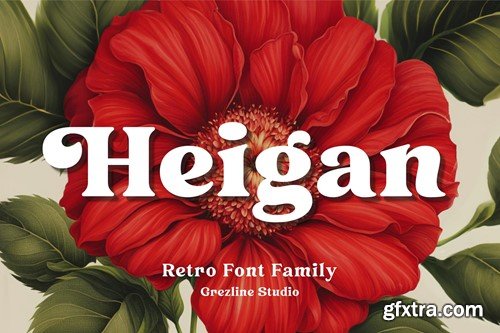 Heigan - Retro Font Family QFM7DQG