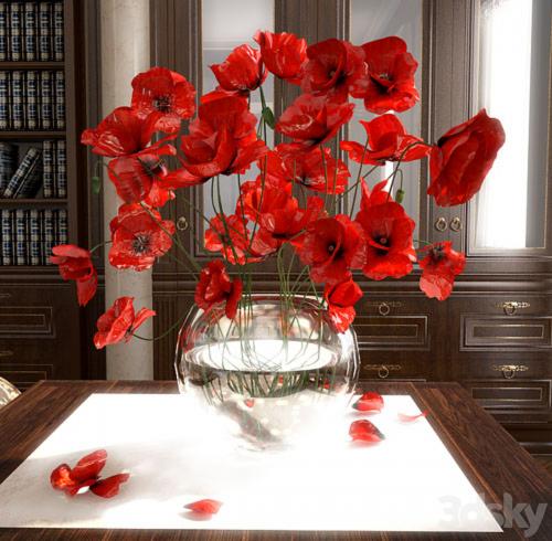 poppies in a vase