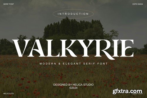 Valkyrie Elegant Serif Font 4R45MCV