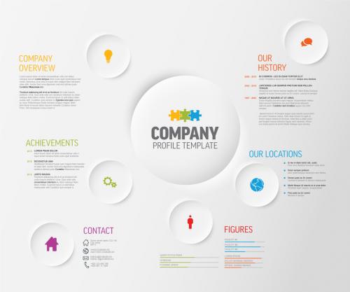 Simple Company Infographic Profile Overview Design Template