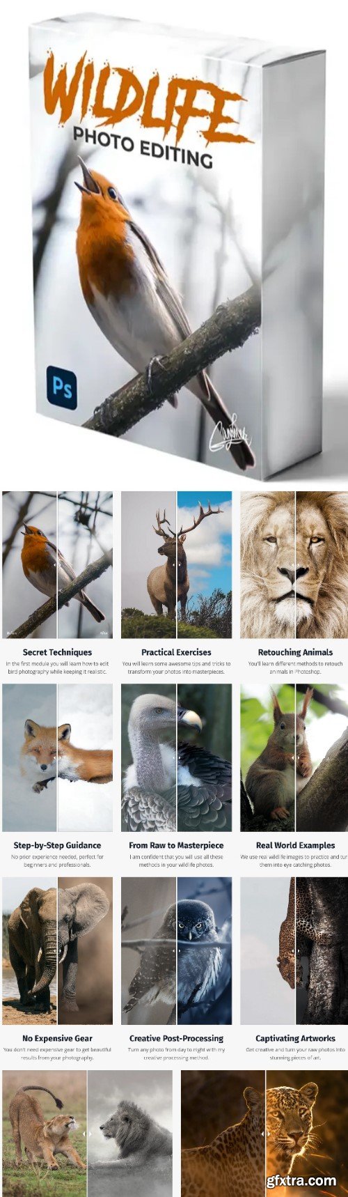 Zenja Gammer - Wildlife Photo Editing Course