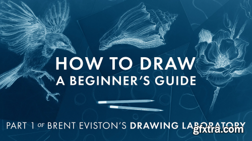 How to Draw: A Beginner’s Guide - Part 1 of The Drawing Laboratory