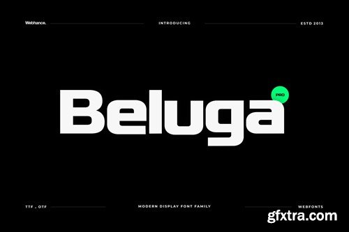 Beluga - Modern Sans-Serif Font family KL43P72