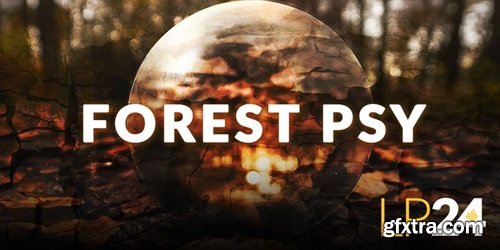 LP24 Forest Psy