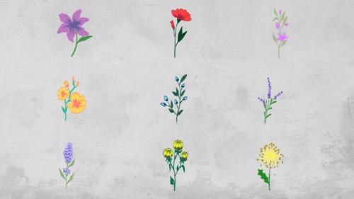 Videohive - Flowers Elements - 51643079