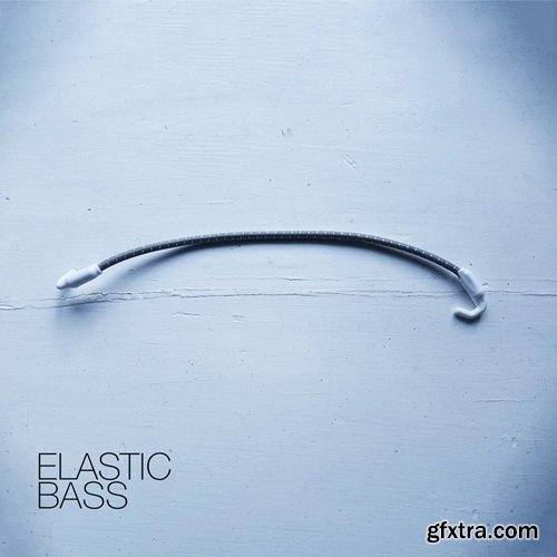 David Hilowitz Elastic Bass [Patreon Exclusive] [Decent Sampler]