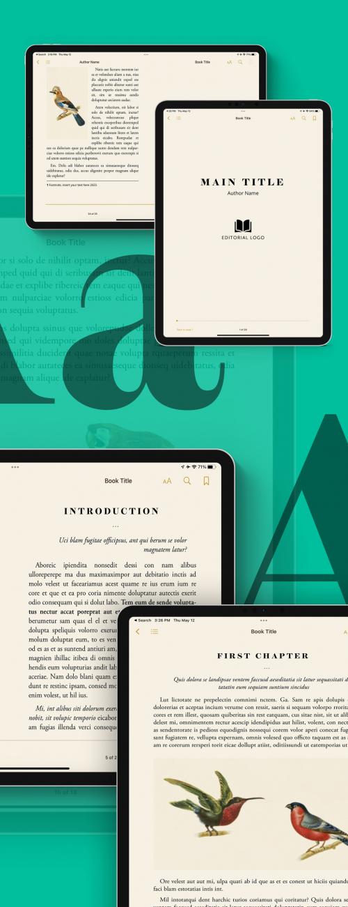 Clean and Classic Reflowable Ebook