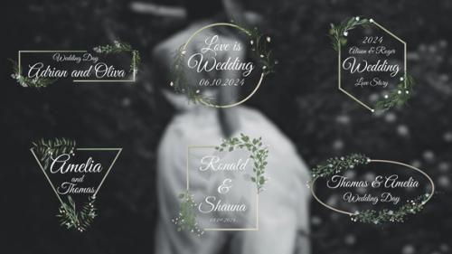 Videohive - Elegant Wedding Titles - 51755485