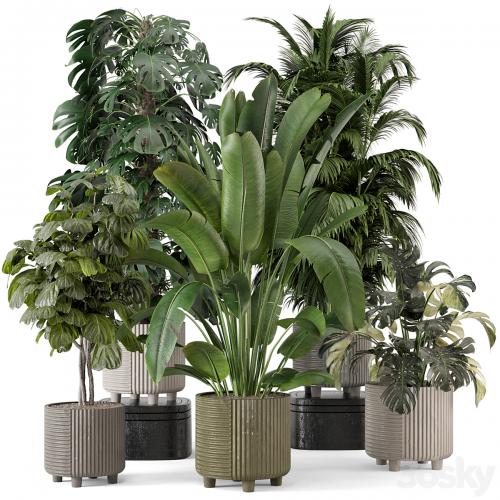 Indoor Planters in Cecilia Ficonstone Pot - Set 969