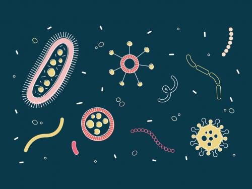 Bacteria Microbes Virus Illustration