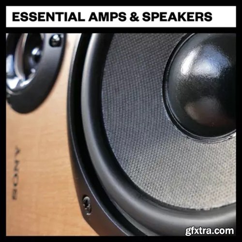 Big Room Sound Essential Amps and Speakers