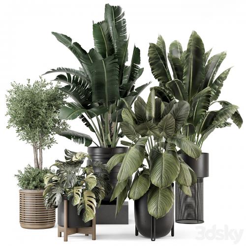 Indoor Plants in Ferm Living Bau Pot Large - Set 1665
