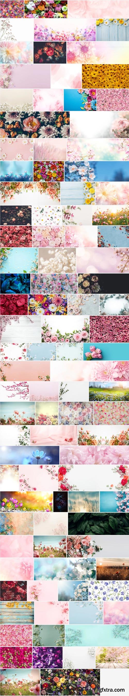 Amazing Photos, Flower Background 100xJPEG