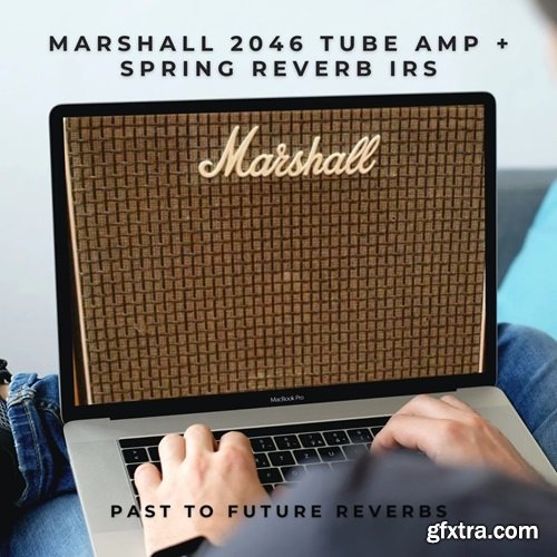 PastToFutureReverbs Marshall 1972 2046 Specialist Tube Amp Spring Reverb And Delay IRs