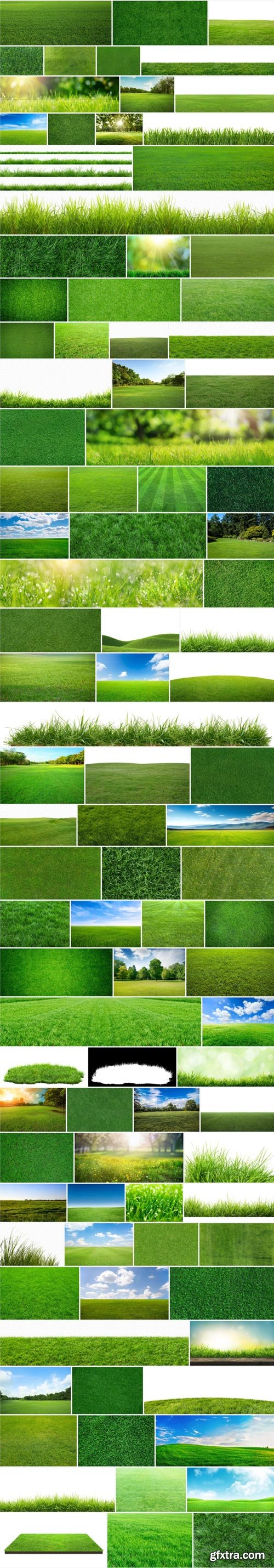 Amazing Photos, Green Grass 100xJPEG